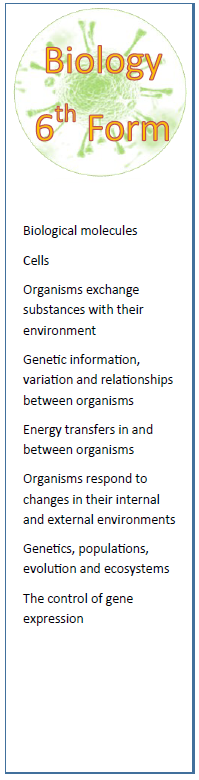 Bio