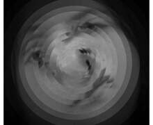 Media Trial 2 Large Best Shots Page 3