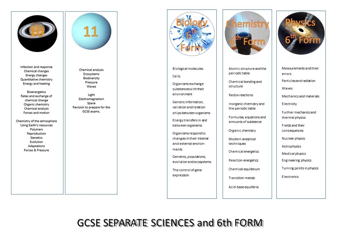 Visual curriculum maps 2024 2025 (1)